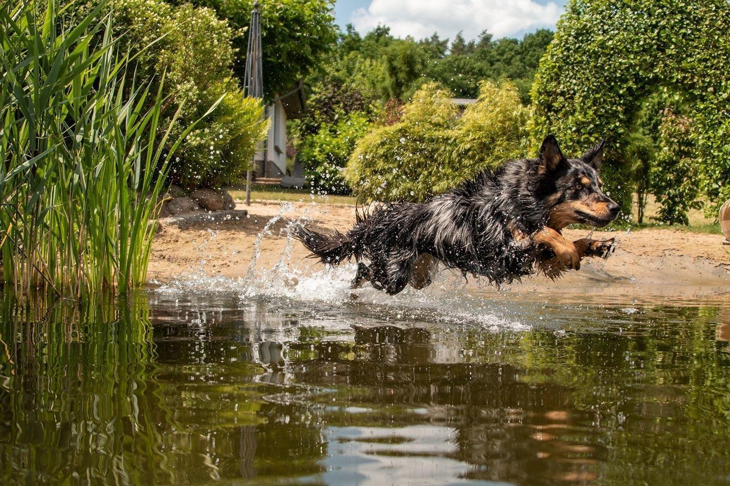 Ferienhaus Seeresidenz Am Muehlensee Godern Esterno foto