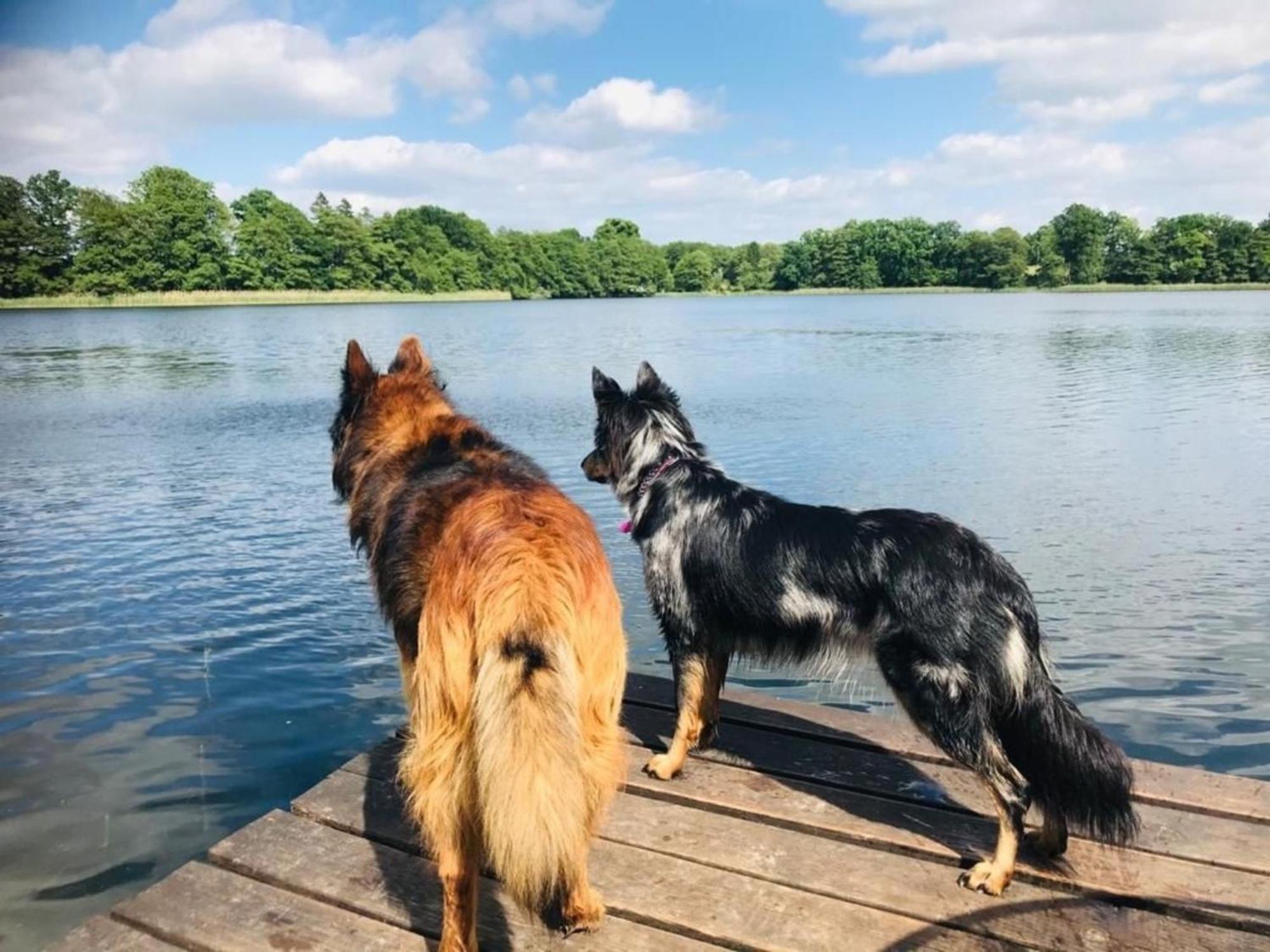 Ferienhaus Seeresidenz Am Muehlensee Godern Esterno foto